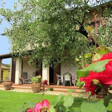 Casa Vacanze Lulu Камайоре Экстерьер фото