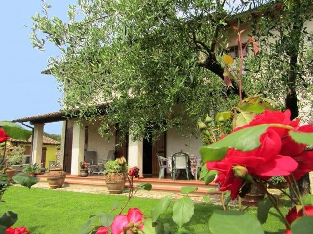 Casa Vacanze Lulu Камайоре Экстерьер фото
